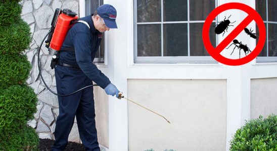 Gülağaç Kene İlaçlama böcek ilaçlama ve haşere kontrolü — ilaclama-tr.com